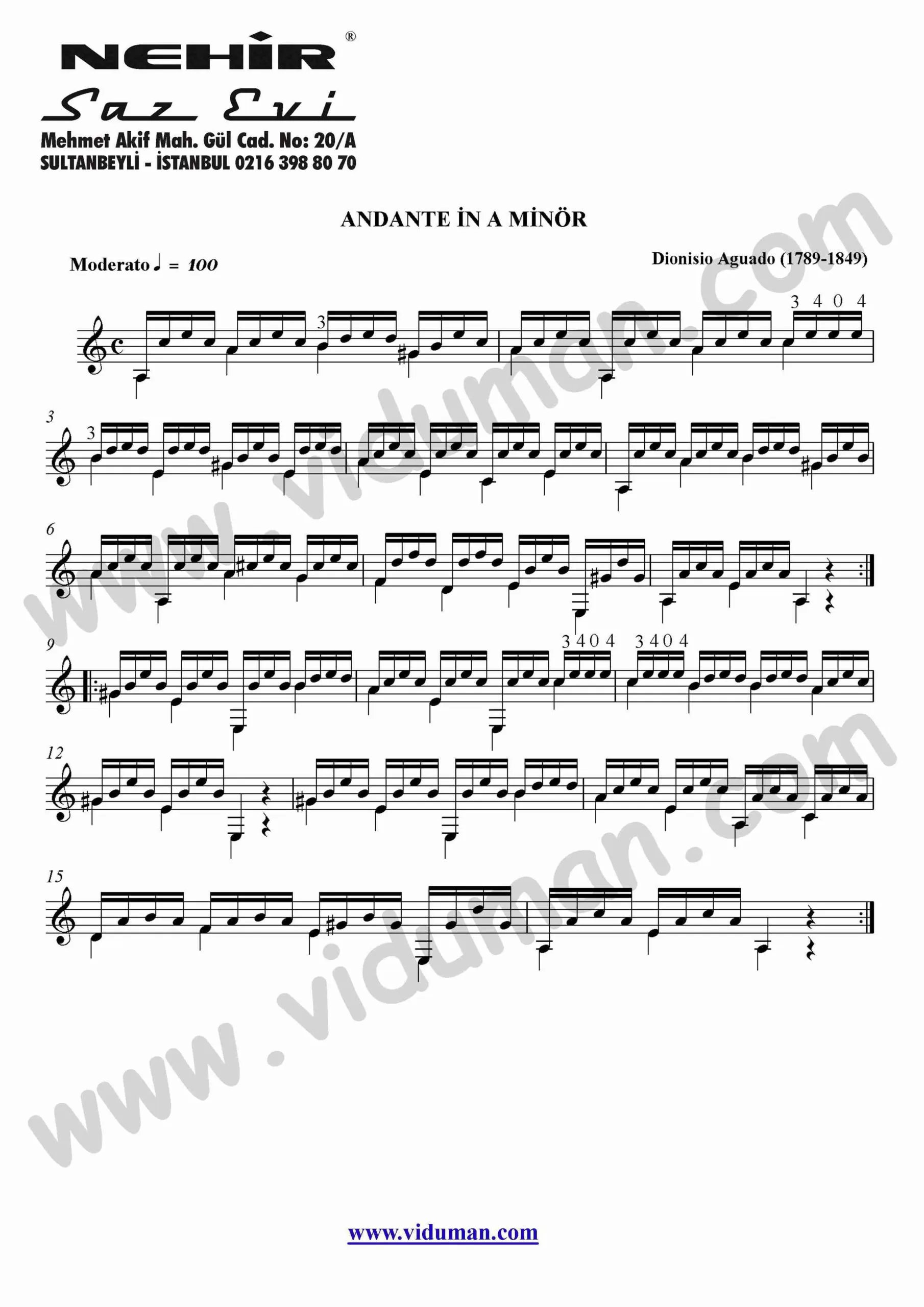 10- Andante In A Minor (Dionisio Aguado)