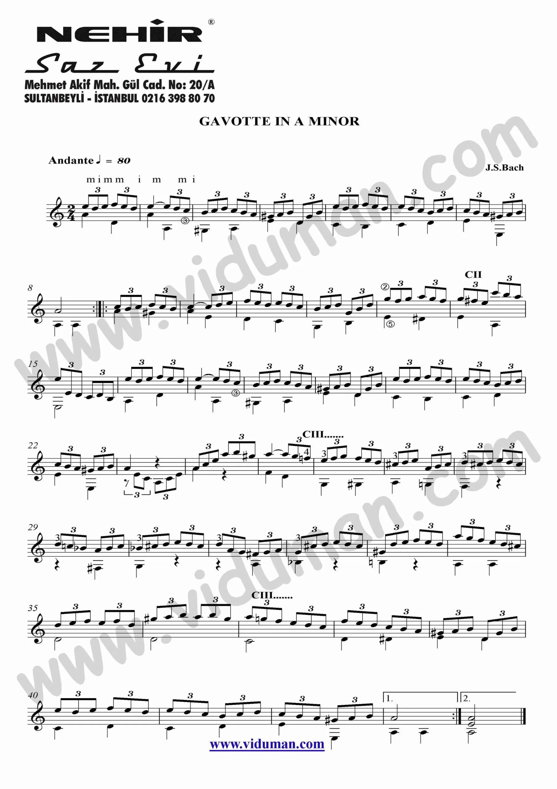 87- Gavotte In A Minor (J.S.Bach)